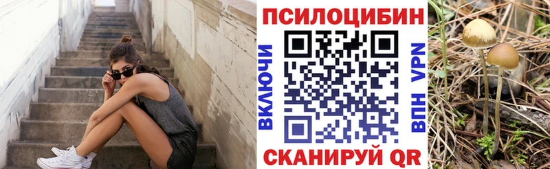 сколько стоит  Керчь  blacksprut как зайти  Псилоцибиновые грибы ЛСД 