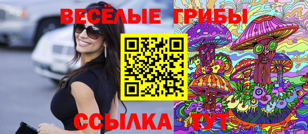 Галлюциногенные грибы GOLDEN TEACHER Керчь