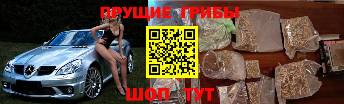 Керчь  Галлюциногенные грибы Cubensis  Псилоцибиновые грибы MAGIC MUSHROOMS  Вход с VPN 